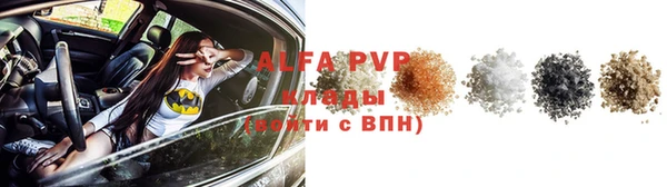 сатива Осинники