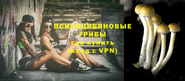 твердый Алексеевка